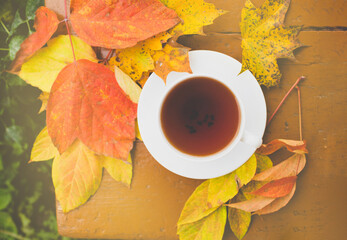 bright colorful leaves around the cup of warm tea as concept of coming autumn