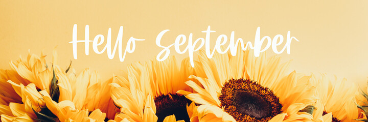 Hello September text and Yellow Sunflower Bouquet on bright Yellow Background, Autumn Concept, Top View, Space for Text, banner size