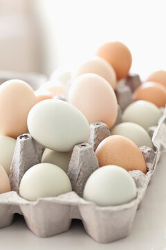 Farm Fresh Eggs