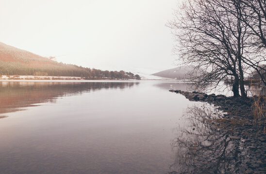 Looking over St Mary's Loch in Scotland.