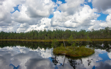 Forest lake and clodly sky