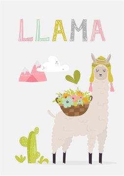 Cute llama card design with decorative elements, cacti, flowers basket, mountains and hand drawn lettering. Vector illustration for cards, invitations, print, apparel, nursery decoration.