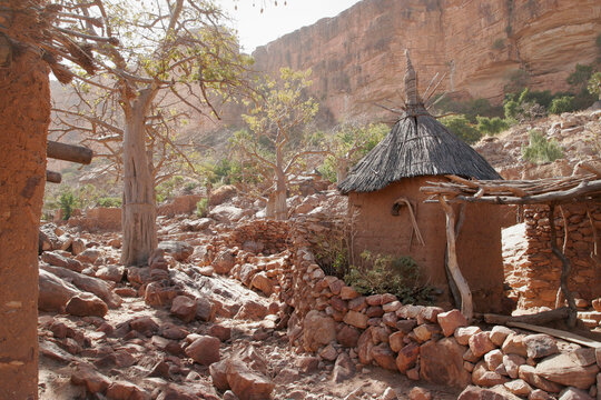 Granaries with thatched roof in a Dogon village at the foot of B