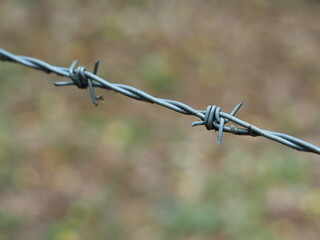 Close up photo of barbed wire with a blurred woodland background