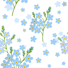 Forget-me-not is a seamless background. Vector illustration.