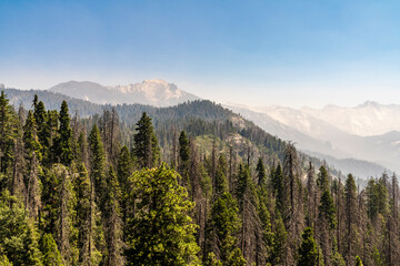 Moro Rock Climb