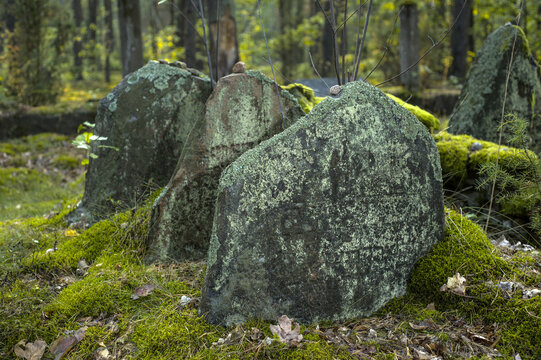 Old Jewish cemetery in the forest. The cemetery is located in Poland. There are inscriptions in Yiddish on the stones.