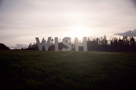 What do you wish for?