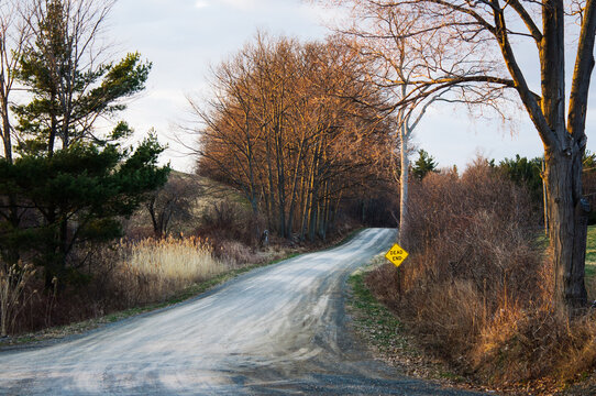 country road with a dead end sign