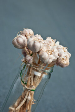 mini garlic