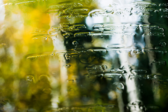 Autumn rain in forest through window
