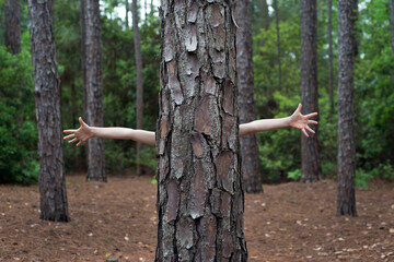 Child's arms stick out from behind a tree