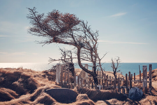 Abandoned graveyard at Marup kirke in Lonstrup, North Jutland