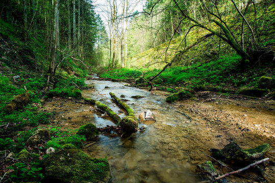 Small creek inside forest in spring at Linn
