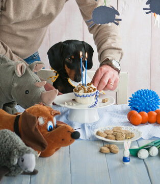 Leopoldino's birthday