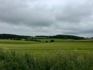 field, sky, grass, landscape, green, meadow, nature, summer, blue, cloud, clouds, rural, spring, agriculture, country,  view, tree, countryside, land, farm, scene, hill, cotswold, uk, england