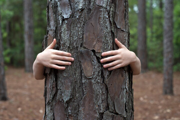 Child hugs tree