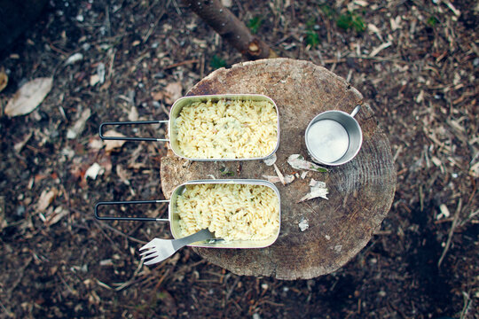Food served in aluminum trays in a forest on a tree stump