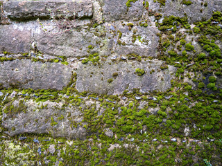 Ruin wall of an old ancient castle