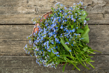 Blue forget-me-nots bouquet on old wooden table on the street. Retro style, romantic
