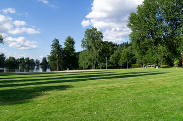 Obraz premium trees in the park