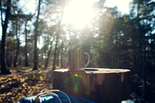 Aluminum cup with hot tea on a tree stump