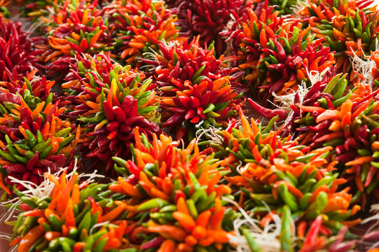 Ristra of chili peppers