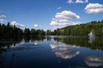 Fototapeta premium reflection of trees in lake