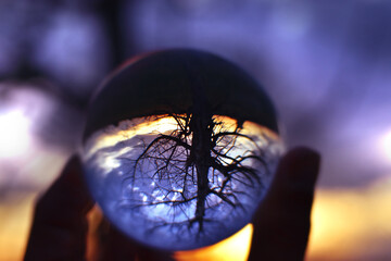 photographic shot through lensball