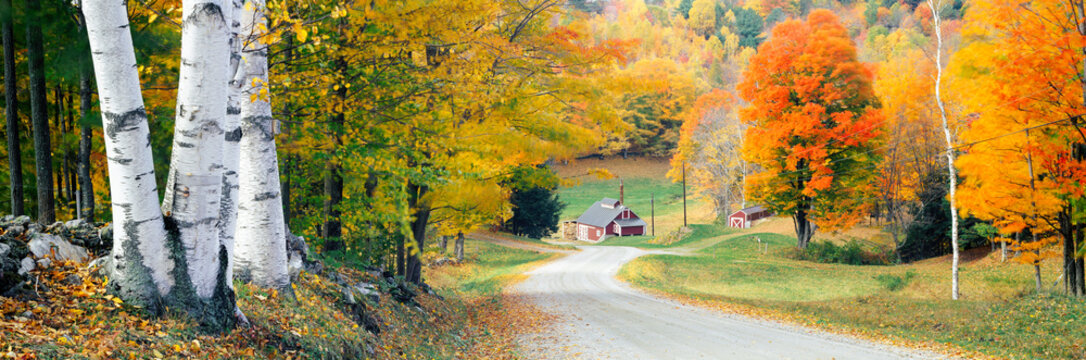 United States of America, Vermont, Fall colours and country road near Woodstock