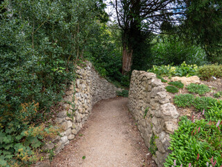 stone path in the garden