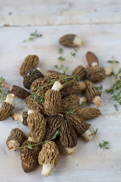 Fresh morels with thyme