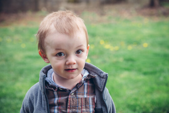 Two Year Old Boy Portrait in the Yard