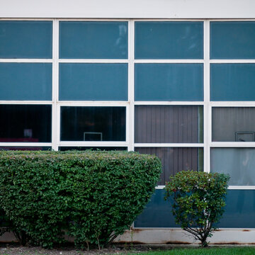 blue and white grid with shrubbery