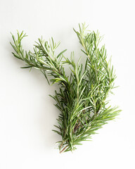 Rosemary herb on white background