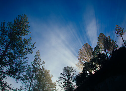 Sun Rays And Fog Mixture With A Vibrant Blue Sky At Sunrise