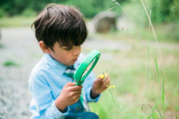 young child inspecting flower with magnifying glass