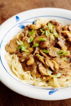 Creamy Mushroom Stroganoff