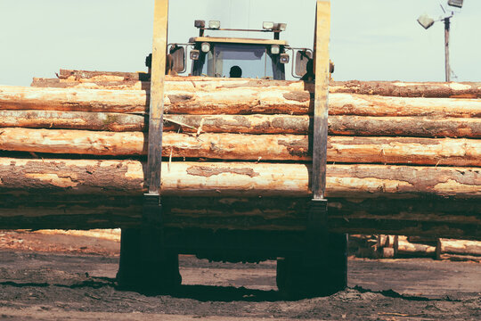 Wheeled log front loader carrying tree trunks