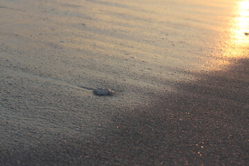 sea sand at sunset