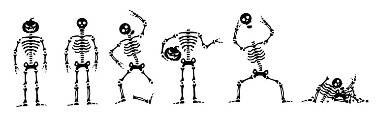 Set of skeletons for halloween. Vector skeleton in different positions. Isolated on white background. Vector illustration.