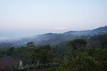 morning fog in the mountains