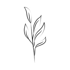 minimalist tattoo floral botanic line art herb and leaves