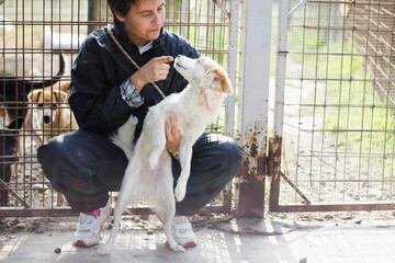 Woman trains cute crossbreed dog in sunny outdoor