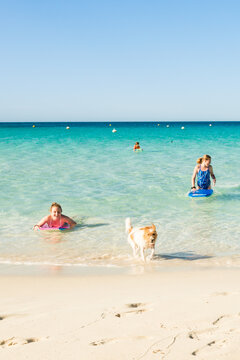 fun times with the dog and kids at the beach