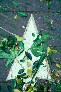Road Marking Arrow with Autumn Leaves