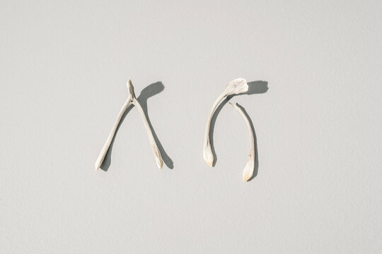 Collection of Superstitious Wishes, Bird Wishbones