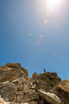 a man stans atop a rocky outcrop, with seagulls flying above him