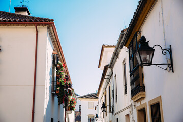 planter boxes on windows in cordoba