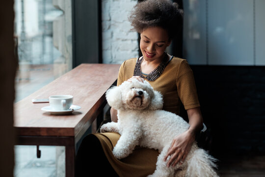 Young Woman Sitting At The Cafe With A Dog